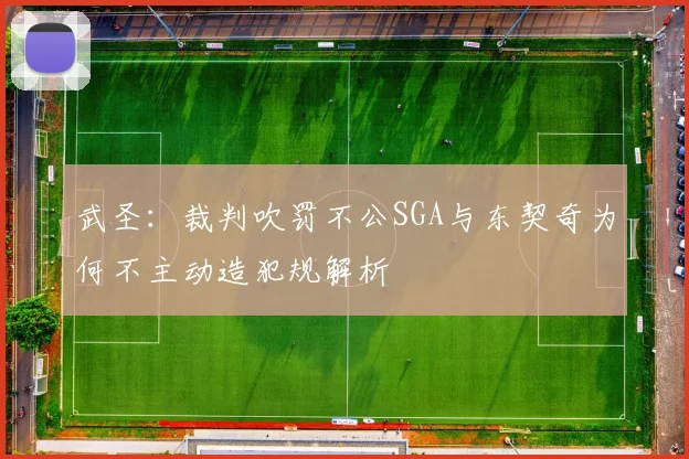 武圣：裁判吹罚不公SGA与东契奇为何不主动造犯规解析